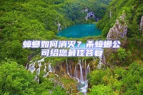 蟑螂如何消滅？殺蟑螂公司給您最佳答復(fù)