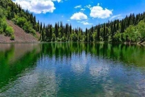 深圳滅蟑公司專業指導家庭滅蟑、滅蟻