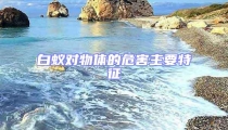 白蟻對物體的危害主要特征