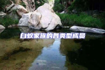 白蟻家族的各類型成員