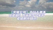 【滅鼠公司】為什么抓不住老鼠？告訴你9個(gè)關(guān)于老鼠的小知識(shí)