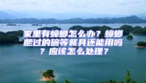 家里有蟑螂怎么辦？蟑螂爬過的碗等餐具還能用嗎？應該怎么處理？