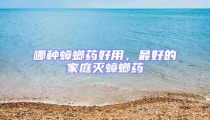 哪種蟑螂藥好用，最好的家庭滅蟑螂藥
