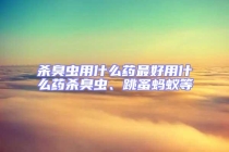 殺臭蟲(chóng)用什么藥最好用什么藥殺臭蟲(chóng)、跳蚤螞蟻等