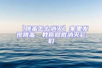 【跳蚤怎么消滅】家里發(fā)現(xiàn)跳蚤，教你徹底消滅它們