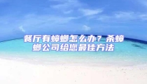 餐廳有蟑螂怎么辦？殺蟑螂公司給您最佳方法