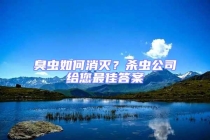 臭蟲如何消滅？殺蟲公司給您最佳答案