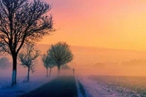 為什么蚊子永遠(yuǎn)不會(huì)被雨砸死？別被孩子問住了