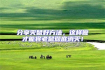 分享滅鼠好方法，這樣做才能將老鼠徹底消滅！