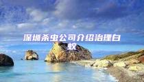 深圳殺蟲公司介紹治理白蟻