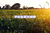 學校食堂滅蟑螂