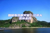 如何有效的滅鼠？江洋大盜快走開