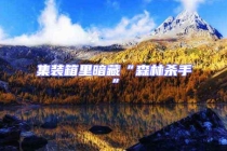 集裝箱里暗藏“森林殺手”