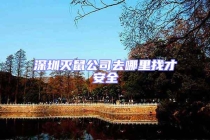 深圳滅鼠公司去哪里找才安全