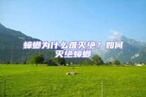 蟑螂為什么難滅絕？如何滅絕蟑螂