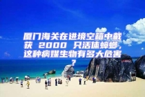 廈門海關(guān)在進(jìn)境空箱中截獲 2000 只活體蟑螂，這種病媒生物有多大危害？