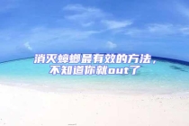 消滅蟑螂最有效的方法，不知道你就out了