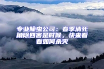 專業除蟲公司：春季清死角除四害是時候，快來看看如何殺滅