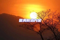 鼠類(lèi)防治方案