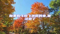 如果有飛蟻飛進你的家,要注意了