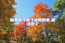 如果有飛蟻飛進你的家,要注意了