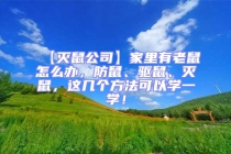 【滅鼠公司】家里有老鼠怎么辦，防鼠、驅(qū)鼠、滅鼠，這幾個(gè)方法可以學(xué)一學(xué)！