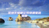 深圳滅蟑螂公司快速驅(qū)趕蟑螂