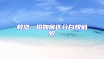 教您一招如何區(qū)分白蟻螞蟻