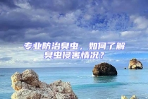 專業(yè)防治臭蟲，如何了解臭蟲侵害情況？