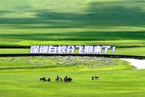 深圳白蟻分飛期來(lái)了！