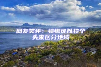 網友笑評：蟑螂可以按個頭來區分地域