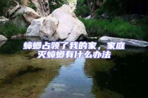 蟑螂占領(lǐng)了我的家，家庭滅蟑螂有什么辦法