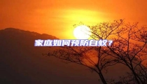 家庭如何預防白蟻？
