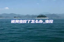 被臭蟲咬了怎么辦_蟲控