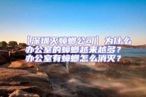 【深圳滅蟑螂公司】為什么辦公室的蟑螂越來越多？辦公室有蟑螂怎么消滅？