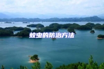 蚊蟲的防治方法