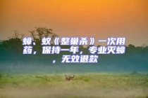 蟑、蟻《整巢殺》一次用藥，保持一年，專業滅蟑，無效退款