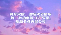 餐廳滅鼠，酒店滅老鼠服務，防治老鼠,工廠滅鼠,深圳專業滅鼠公司