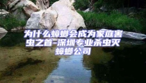 為什么蟑螂會成為家庭害蟲之首-深圳專業殺蟲滅蟑螂公司