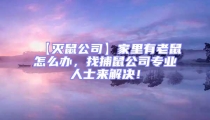 【滅鼠公司】家里有老鼠怎么辦，找捕鼠公司專業(yè)人士來解決！