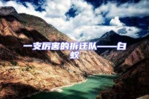 一支厲害的拆遷隊(duì)——白蟻