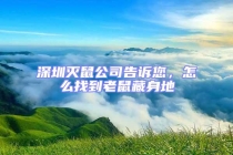 深圳滅鼠公司告訴您，怎么找到老鼠藏身地
