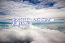 冬天的時(shí)候 蒼蠅蚊子都去哪兒了？