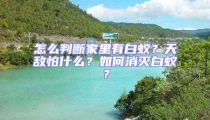 怎么判斷家里有白蟻？天敵怕什么？如何消滅白蟻？