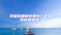 滅鼠藥哪種效果好？是毒餌還是蠟塊？
