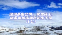 深圳殺蟲公司：家里床上.宿舍木板床黑色小蟲子是什么？
