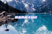 跳蚤的相關(guān)知識