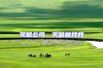 滅鼠公司，滅鼠就找我