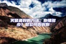 滅鼠最好的方法，你懂多少？鼠公司告訴你