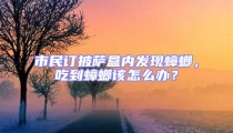 市民訂披薩盒內發現蟑螂，吃到蟑螂該怎么辦？
